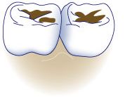 image14.jpeg